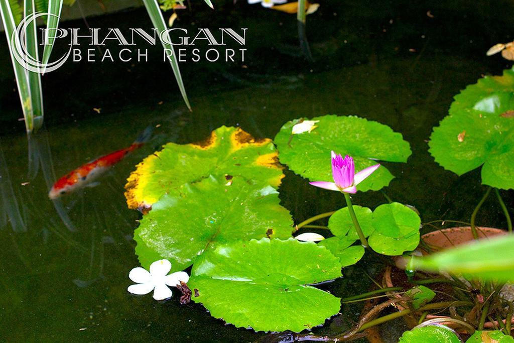 Phangan Beach Resort Ban Tai Exterior photo